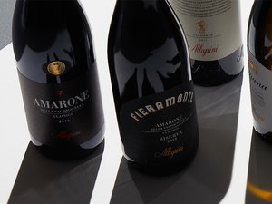 Allegrini wines from Maze Row Wine Merchant